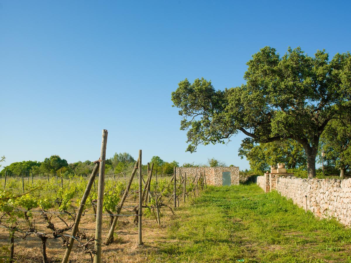 Sa Bassa Rotja Ecoturisme Landhaus